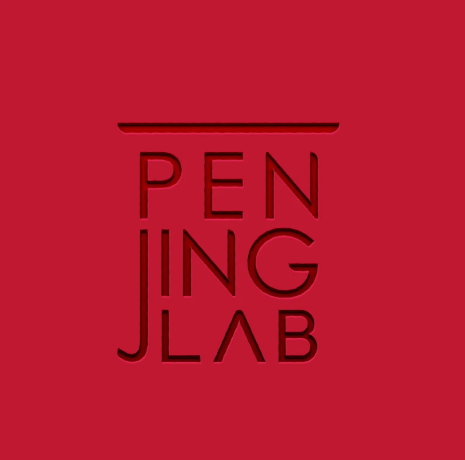 Penjing Lab — Corporate project by Niccoli Design