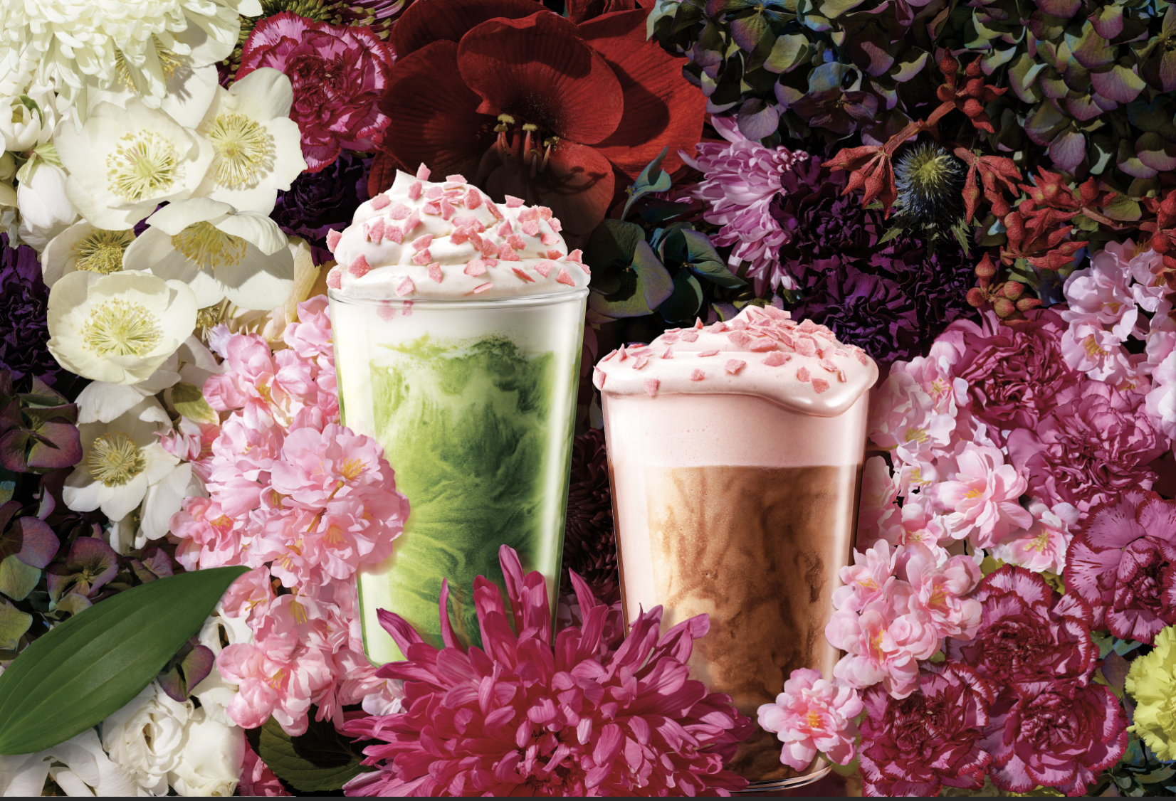 Starbucks – Spring Campaign FY22 — Food & Beverage project by Niccoli Design