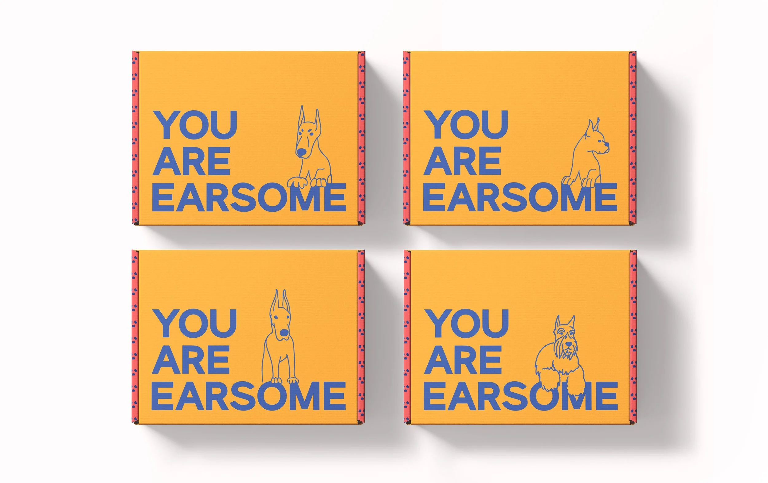 EarpostKit mailer boxes top view